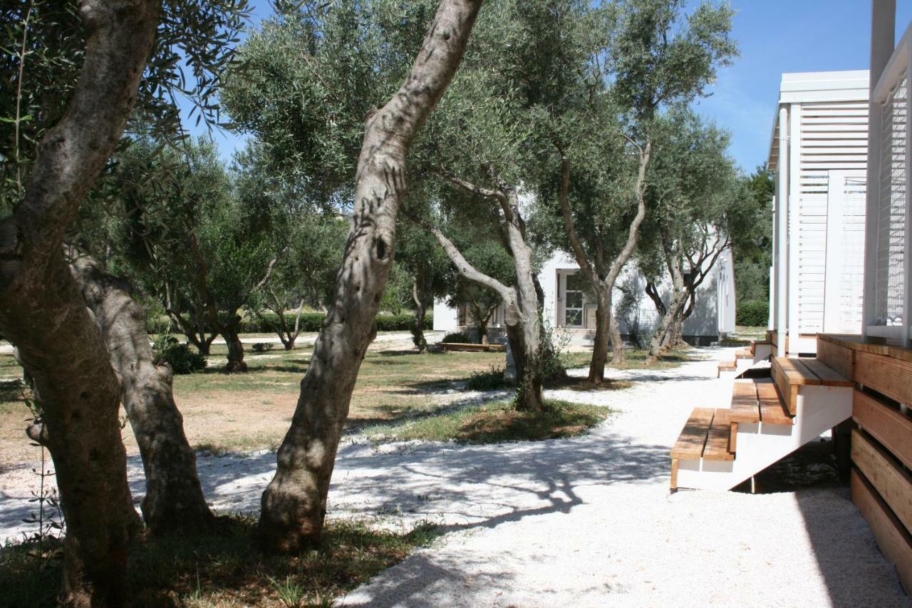 Mobile Homes Katinka, Starigrad Paklenica, Croatia Eksteriør billede